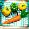 Tela de Descongelamento THAWNET para Alimentos Congelados